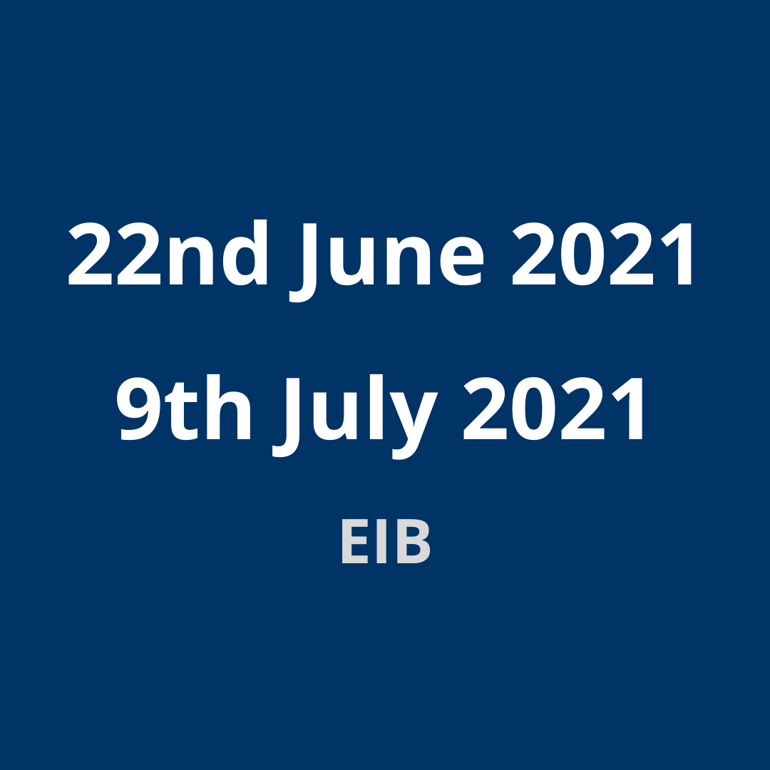 EIB Group Environmental and Social Sustainability Framework public consultation – Webinars